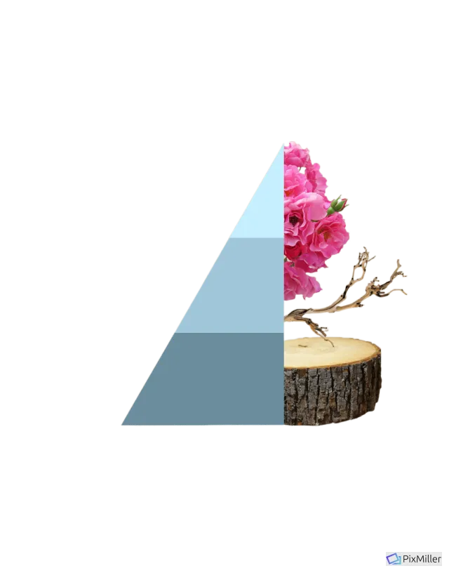 Fresh cotton Geurzakjes – Langdurige Frisheid voor je Kleding en Huis