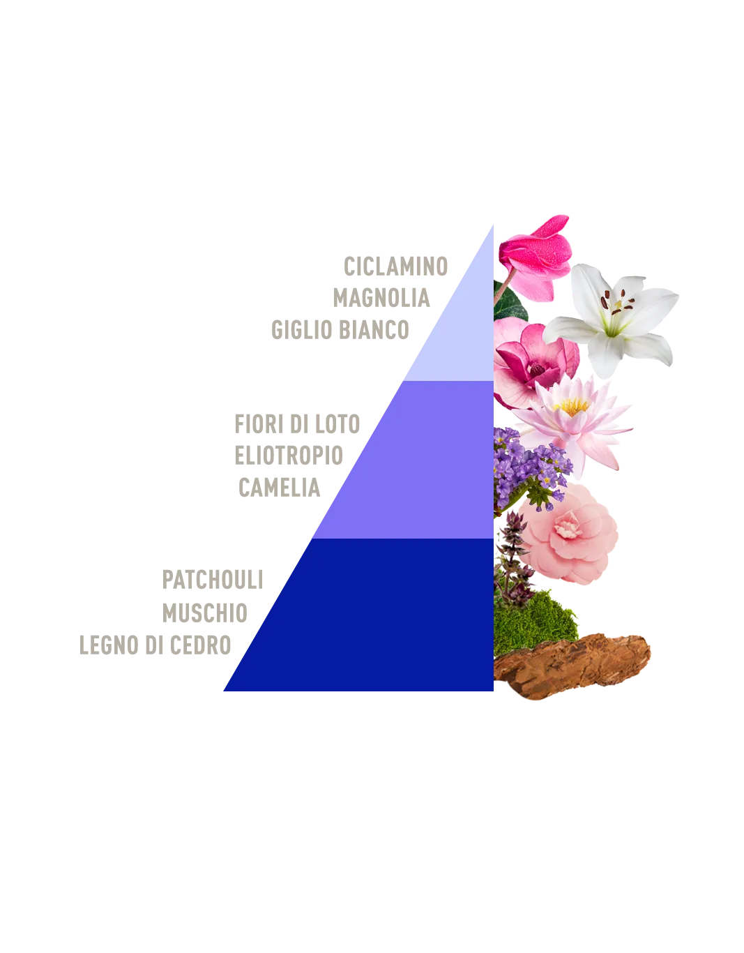 Horomia wasparfum I’M GREEN Loto e Patchouli biologisch